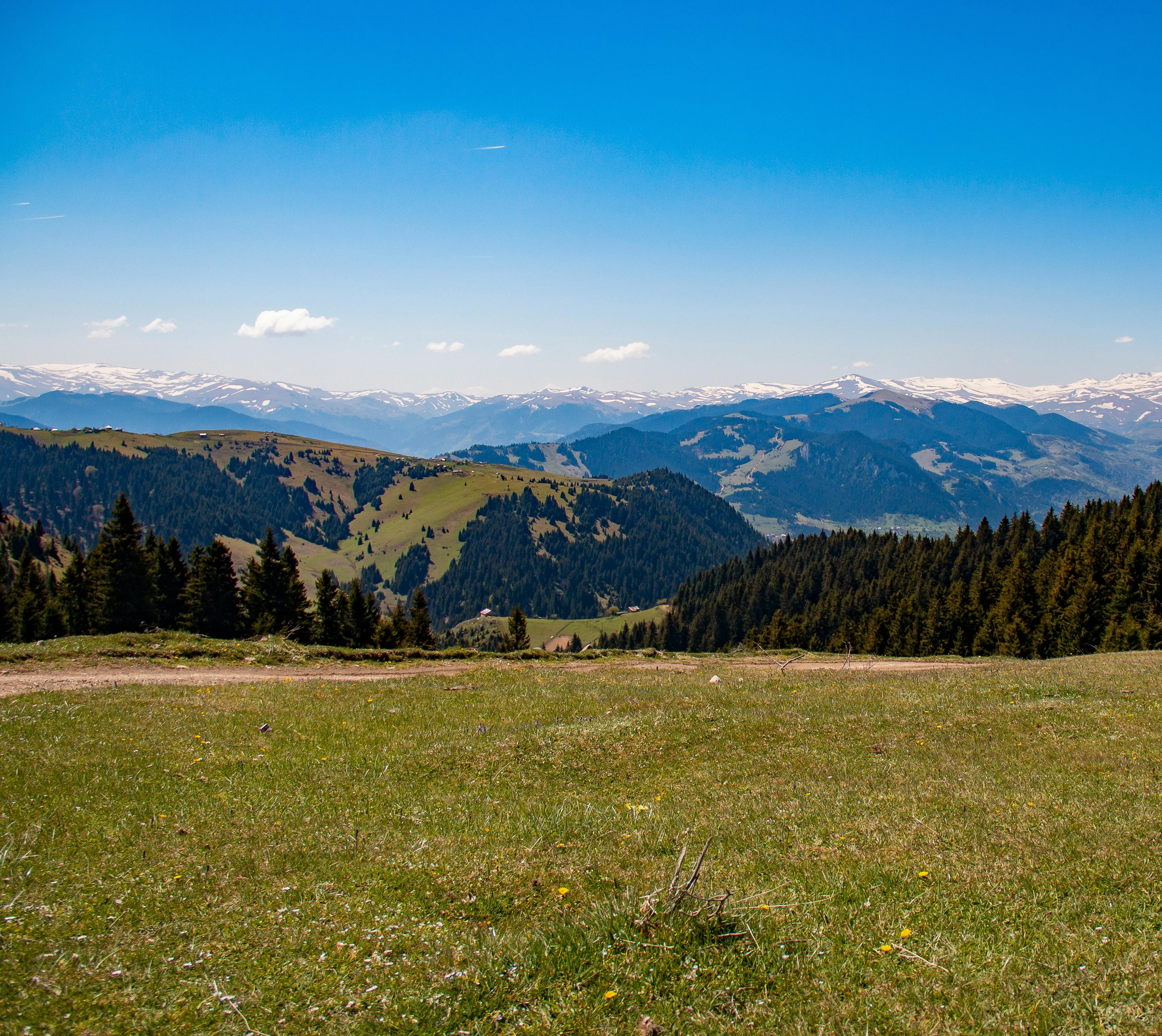 Karadeniz Bölgesi